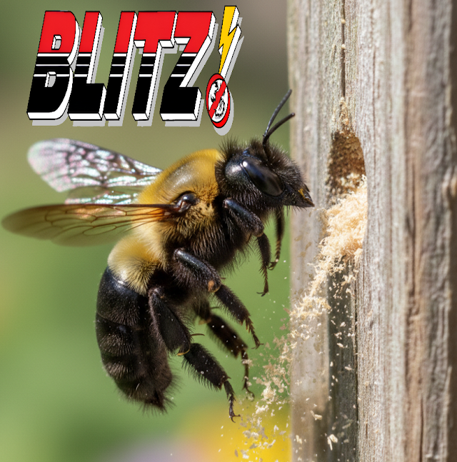 Blitz Exterminators, LLC