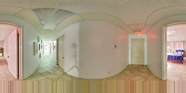Bloom Cabana Wax Co. photo 4