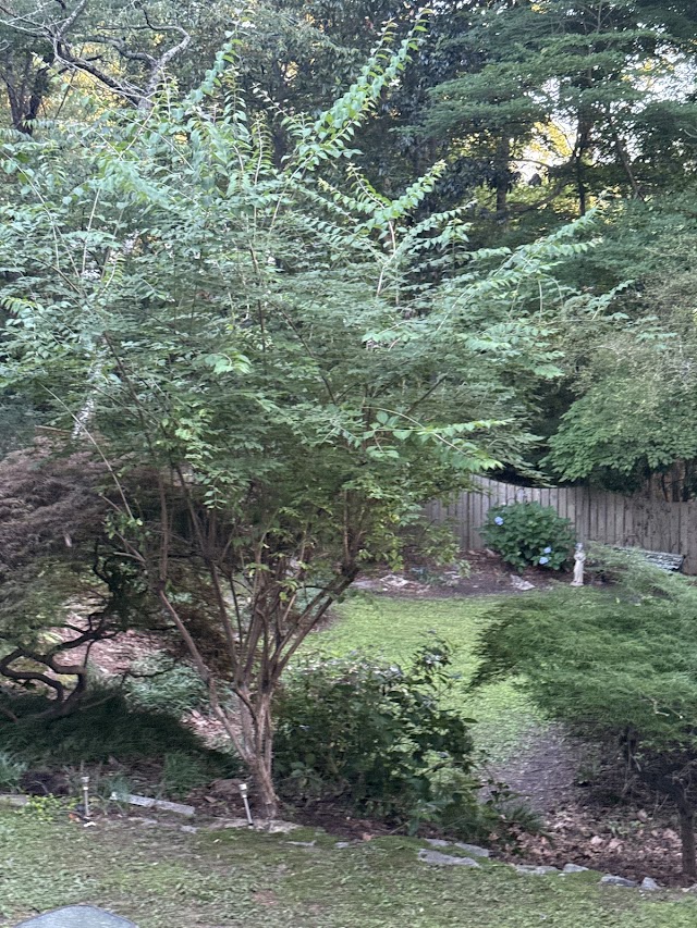 Blount's Lawn Care Solutions LLC photo 2