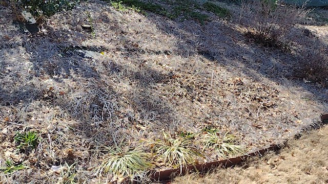Blount's Lawn Care Solutions LLC photo 3