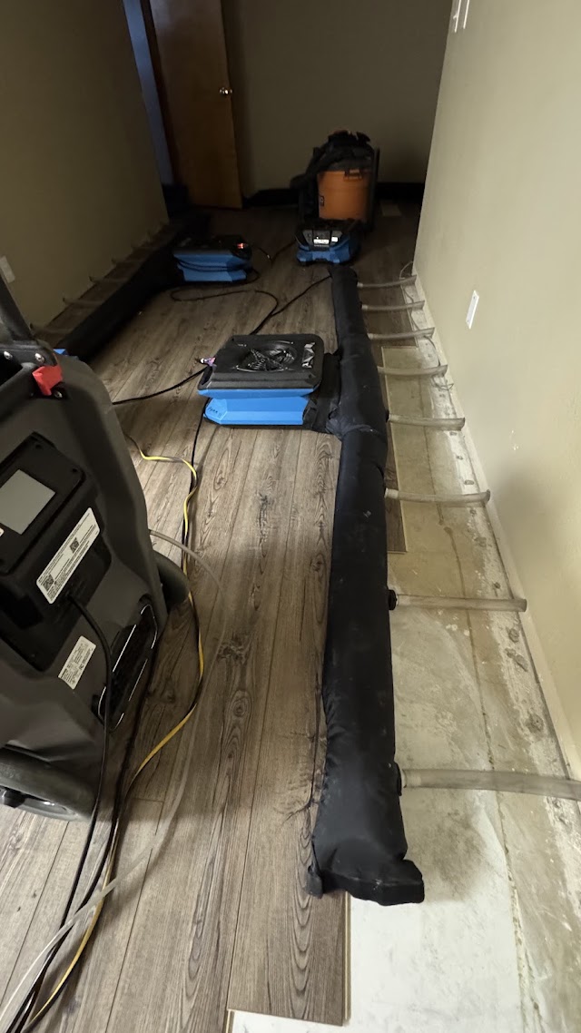 Boasting Mold, Fire, and Water Restoration