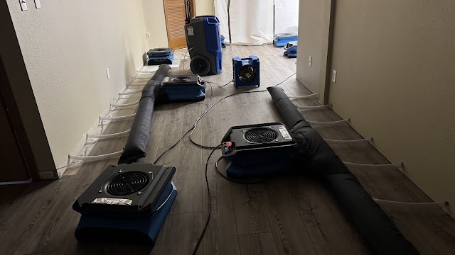 Boasting Mold, Fire, and Water Restoration photo 2