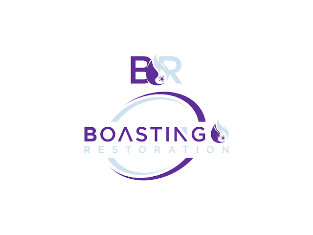Boasting Mold, Fire, and Water Restoration photo 3