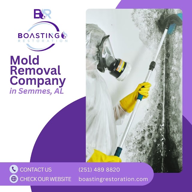 Boasting Mold, Fire, and Water Restoration photo 4