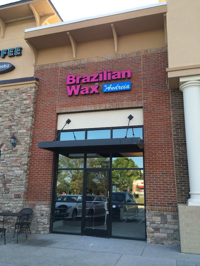 Brazilian Wax by Andreia photo 2