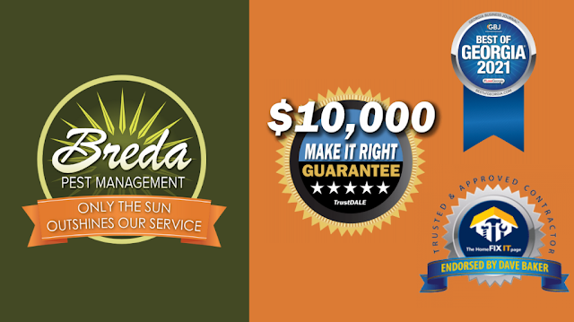 Breda Pest Management