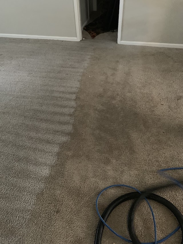 Budget carpet cleaning