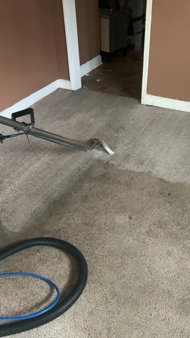 Budget carpet cleaning photo 2