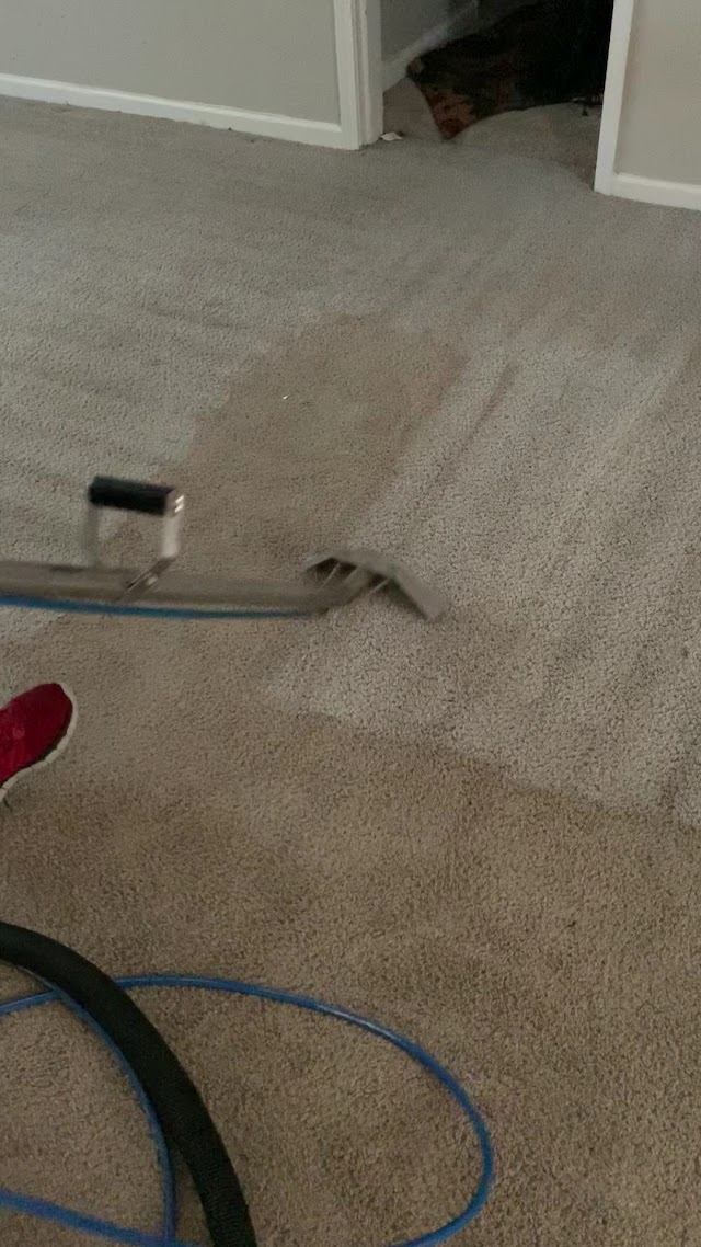 Budget carpet cleaning photo 4