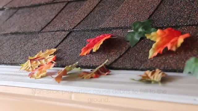 Bug House Pest Control - Macon photo 2
