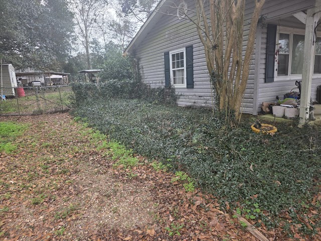 Cain's junk removal service LLC photo 3