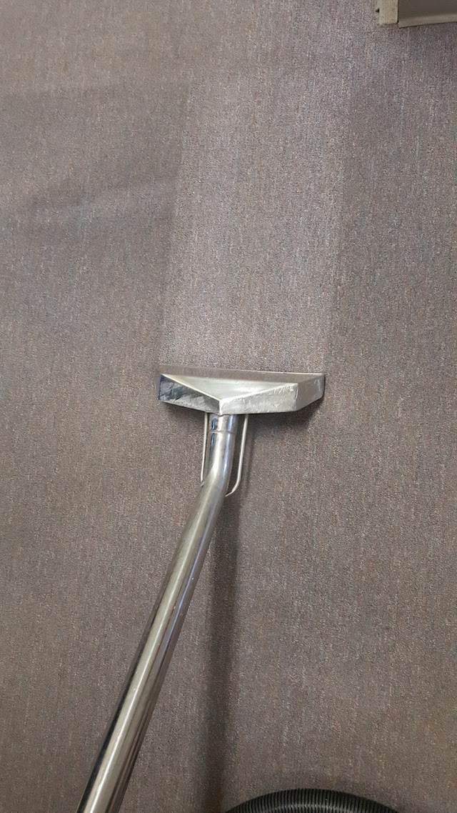 Carpet Cleaning Nurse's Touch photo 2