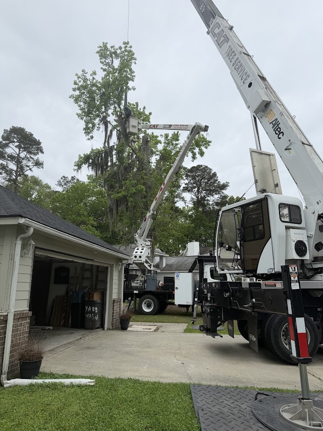 Catco Services LLC