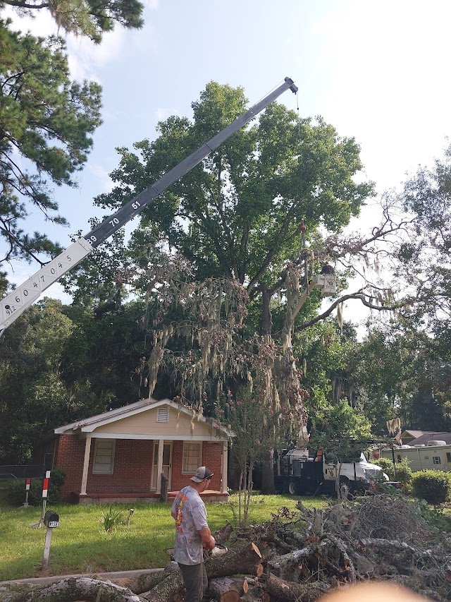 Catco Services LLC photo 2