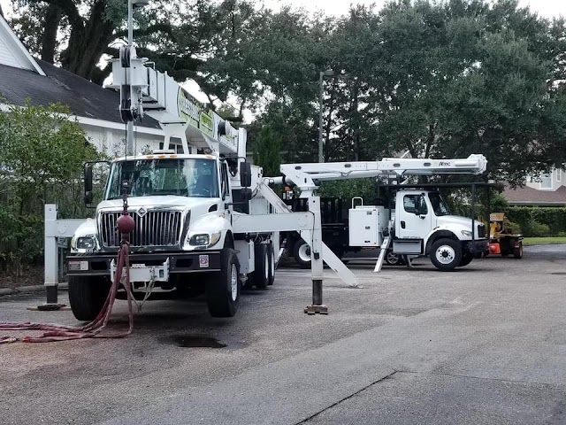 Chestang Tree Service photo 2