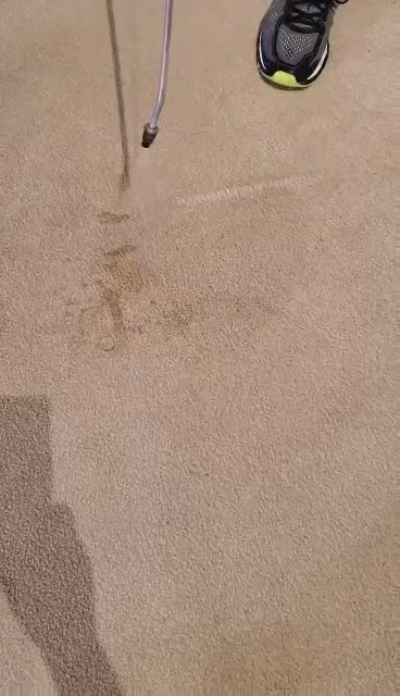Citrus Fresh Carpet Cleaning photo 3