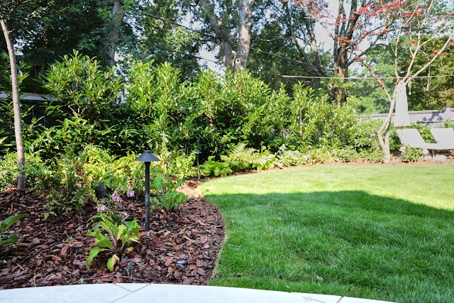 Clean Air Lawn Care Atlanta photo 1