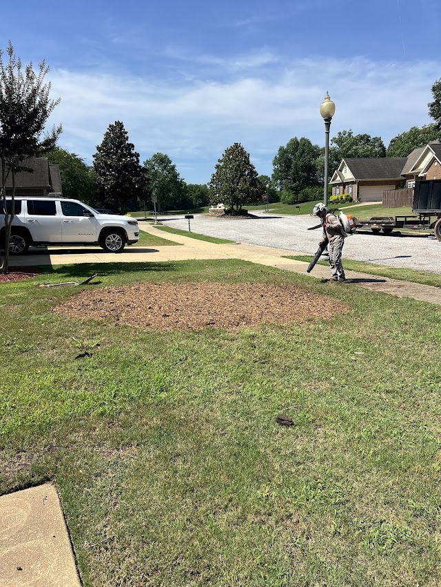 Clear Waters Tree Service photo 2