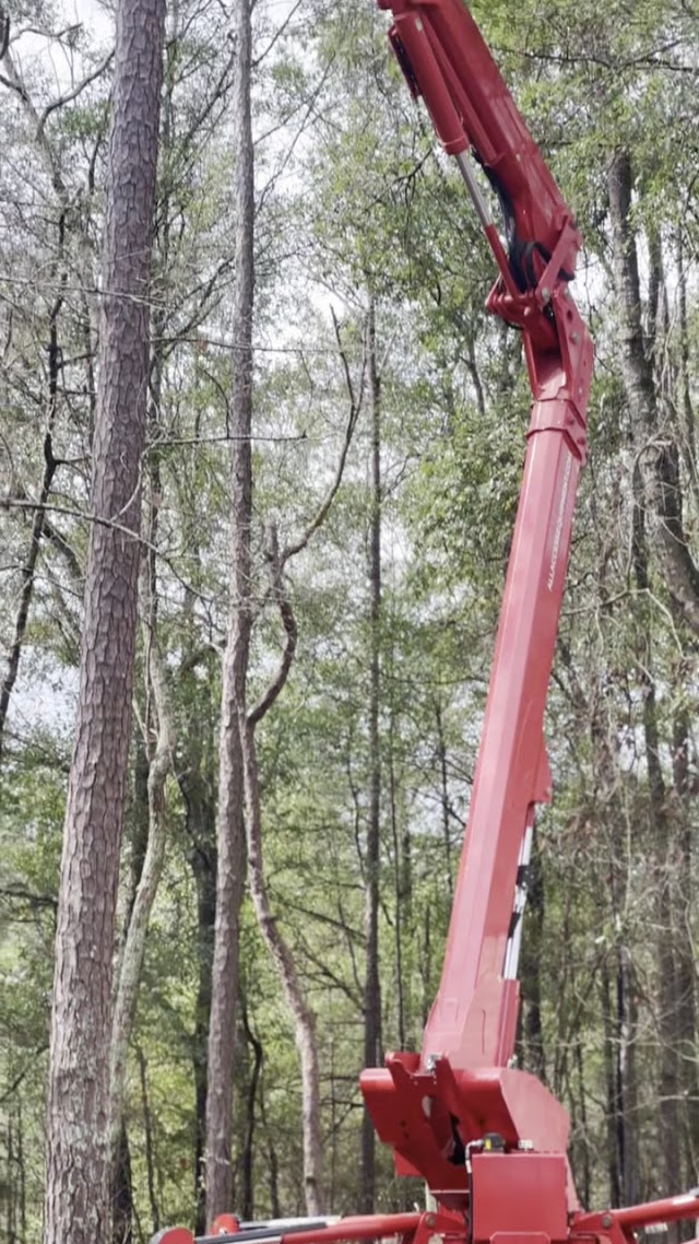 Clear Waters Tree Service photo 3