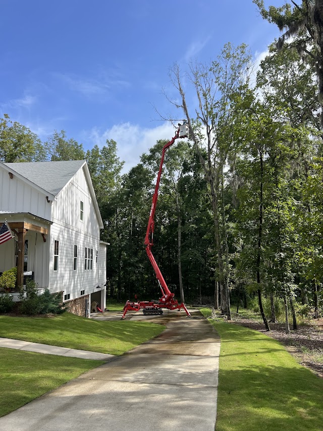 Clear Waters Tree Service photo 4