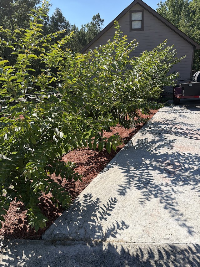 ClearDefense Pest Control photo 2