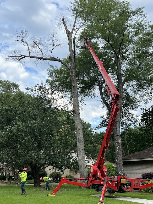 CMT Tree Service