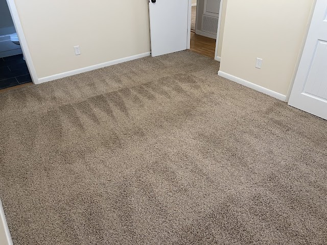 Coastal Carpet Care photo 2