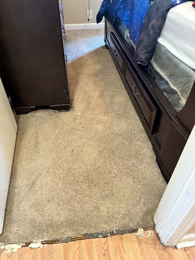 Colorclean Complete Floor Care