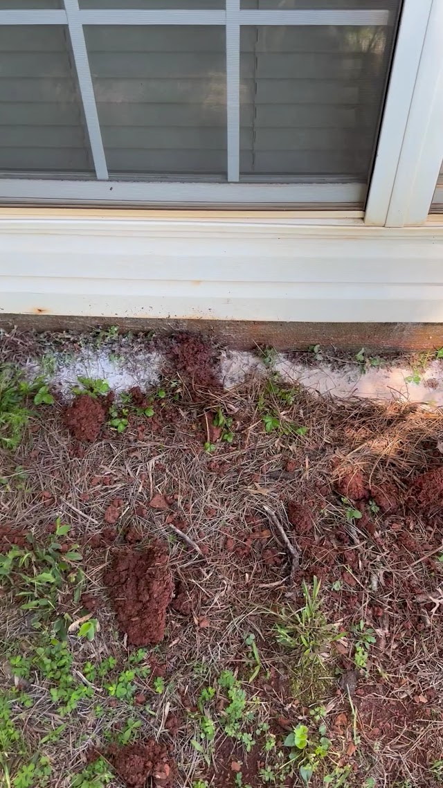 Combs Pest Control photo 3