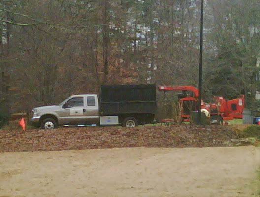 Complete Tree Care photo 1