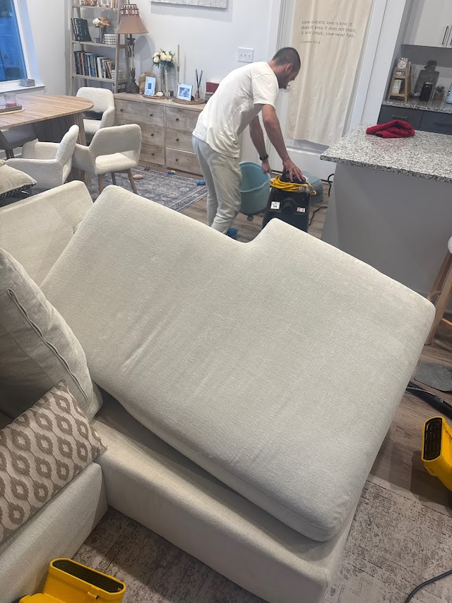 Couch Steamers - Upholstery Cleaning photo 2