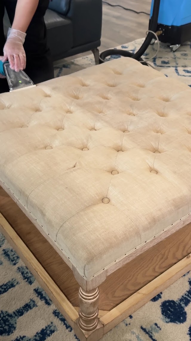 Couch Steamers - Upholstery Cleaning photo 3