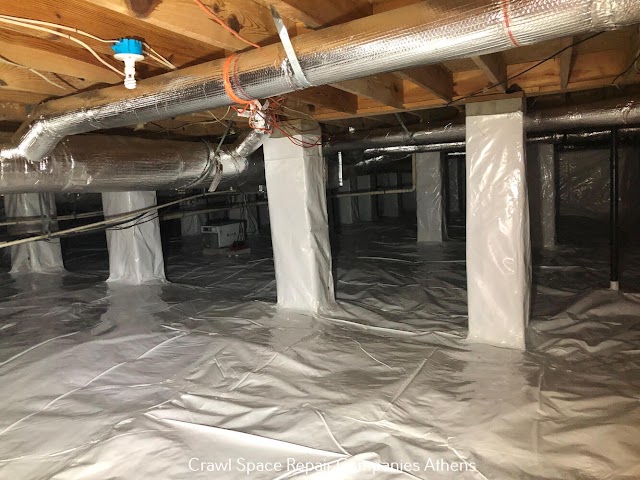 Crawl Space Ninja of Athens photo 2