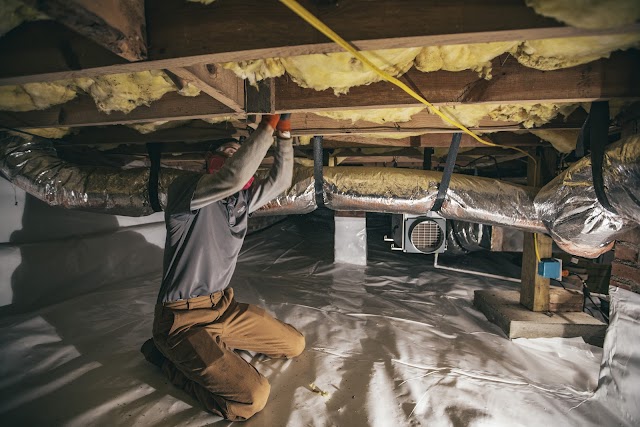 Crawlspace Medic of Savannah photo 2