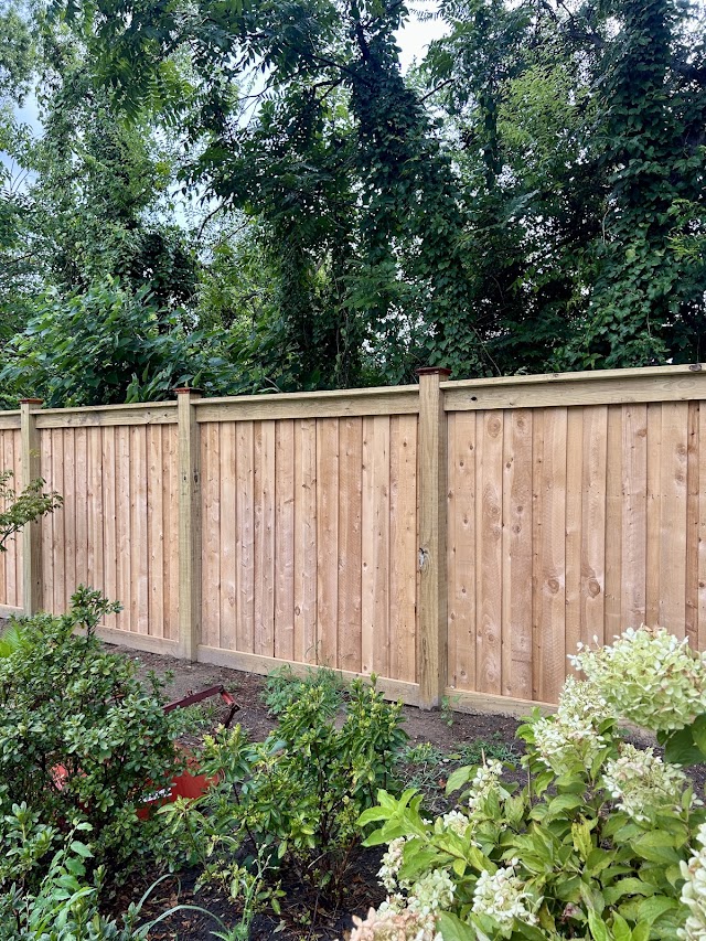Creative Fence Designs