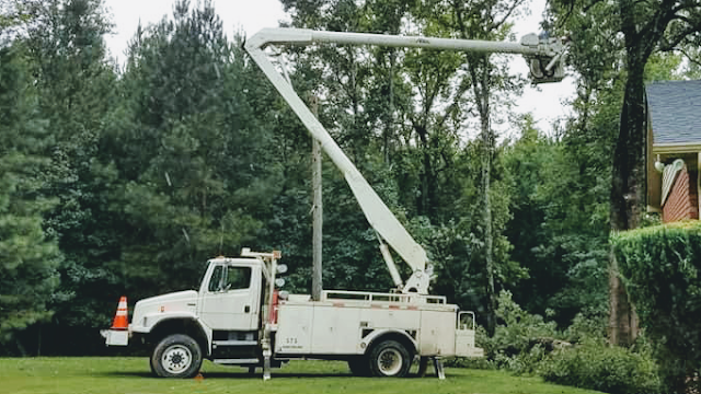 D&M Tree and Land Services, LLC