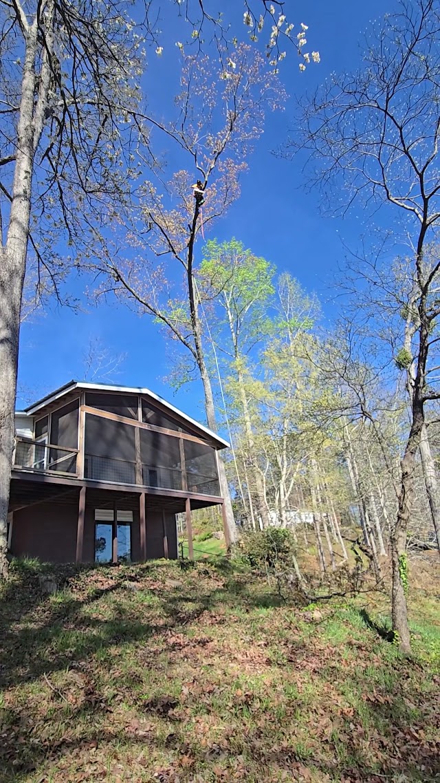 D&M Tree and Land Services, LLC photo 3