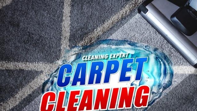 DAILEY PRO SERVICES