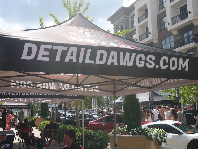 Detail Dawgs | Ceramic Coatings, Paint Correction, and Mobile Detailing photo 2