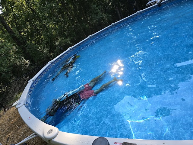 Dive N’ Patch photo 2