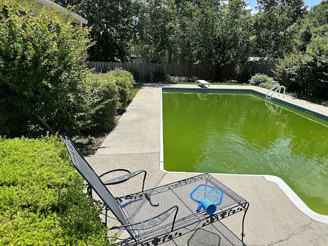 Dive On In Pools photo 2