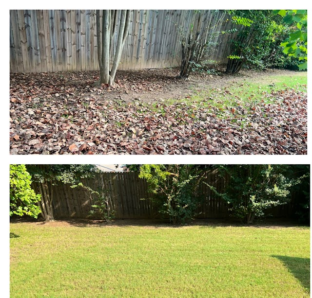 Douglas Professional Lawn Care Services