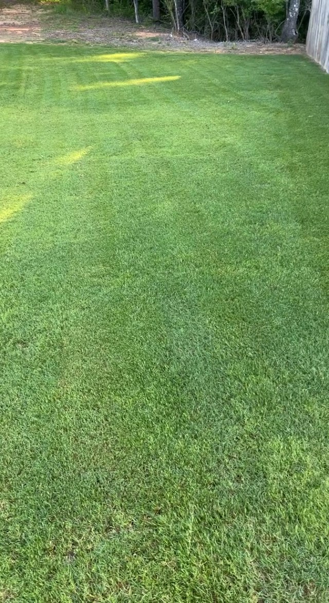 Douglas Professional Lawn Care Services photo 3