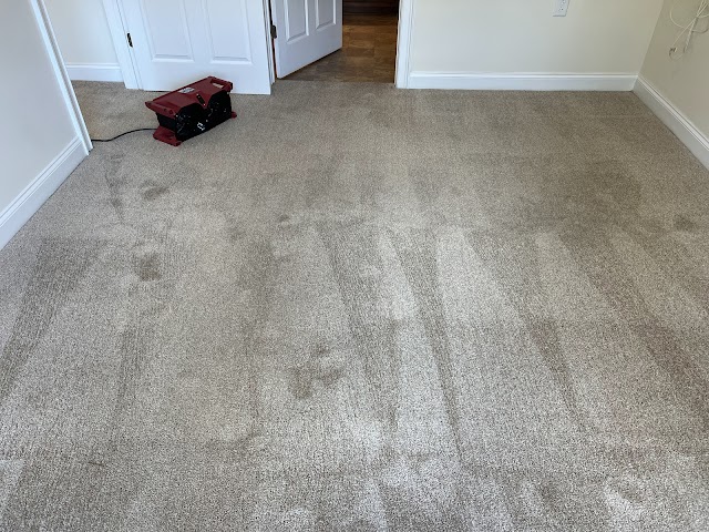 Duraclean Solutions photo 2