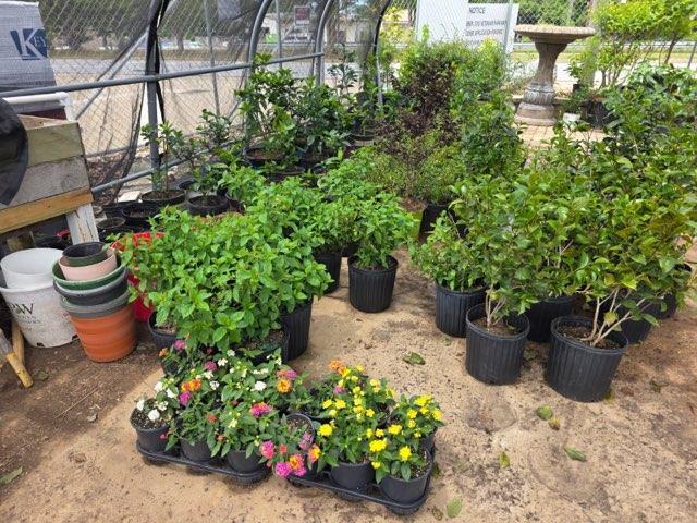 Earthworks Landscape Materials