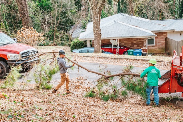 EastLake Tree Services photo 3