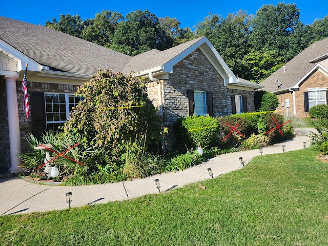 Eastview Landscaping photo 4