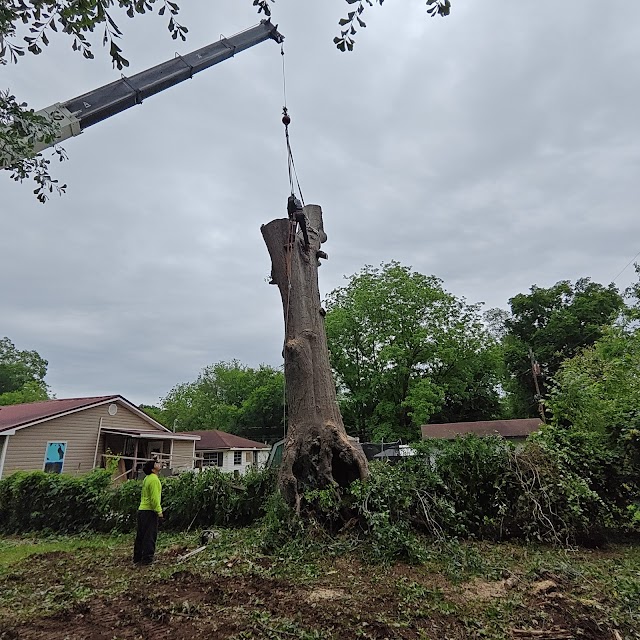 Easy Tree Service