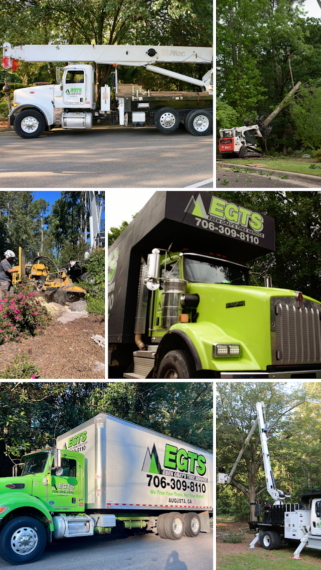Eben Gray's Tree Service, LLC