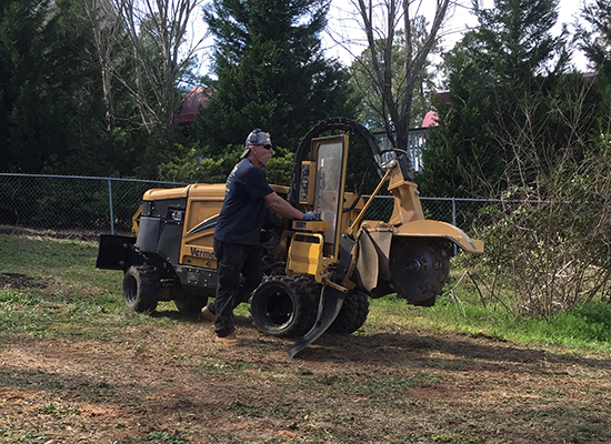 Eben Gray's Tree Service, LLC photo 3